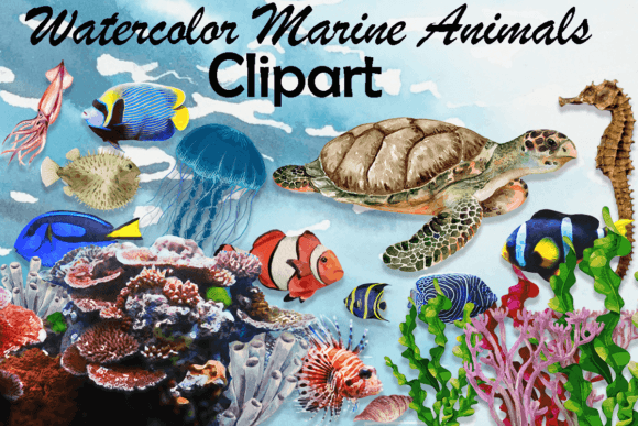 Download Watercolor Marine Animals Clipart - Premium Resources